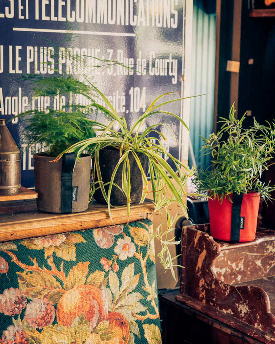 POT HUMUS ポット フムス 3L