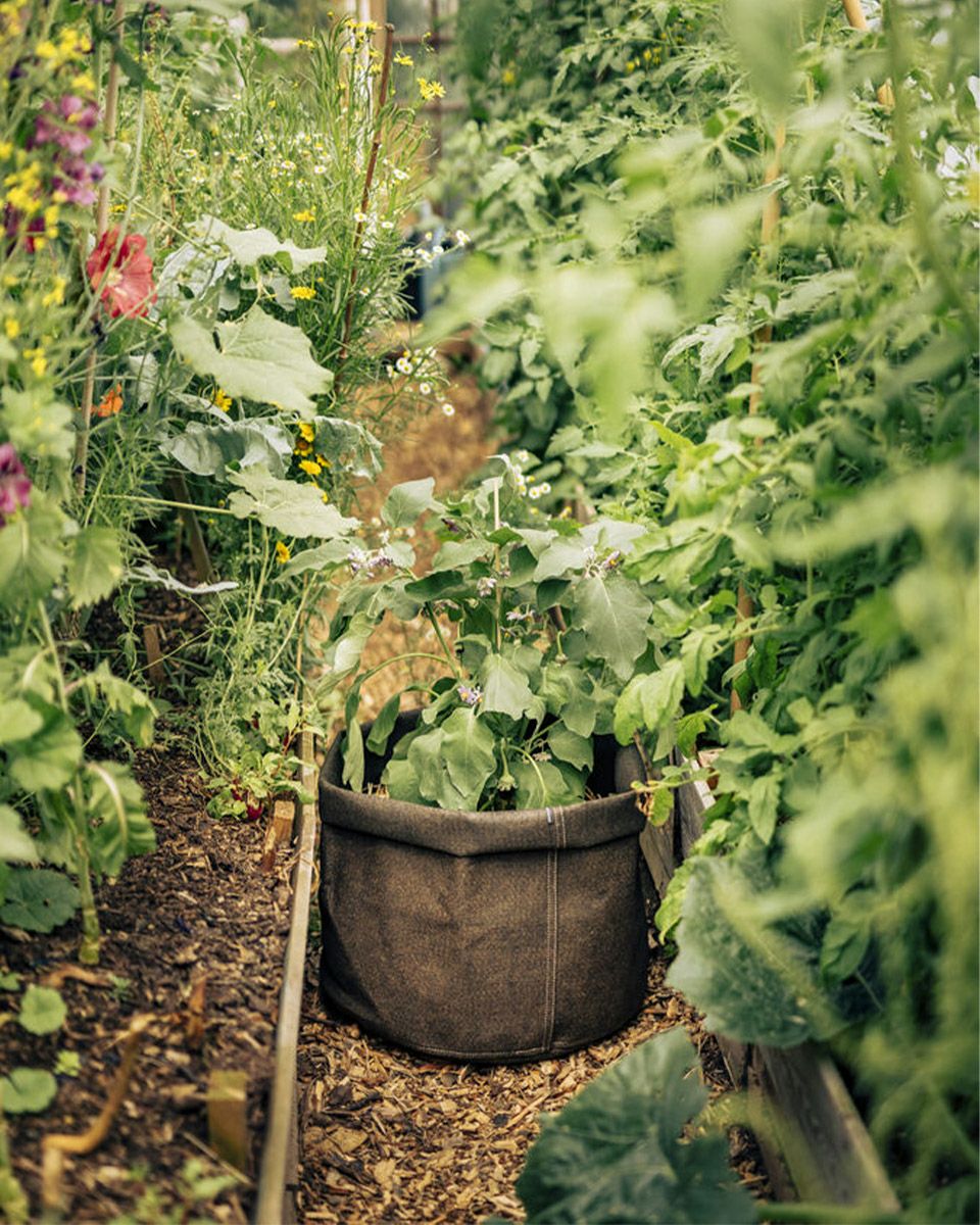 POT HUMUS ポット フムス 100L